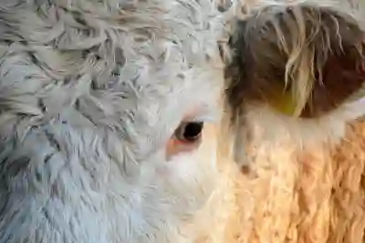 고잔역 주변 소고기 맛집 추천 5곳 살펴보자