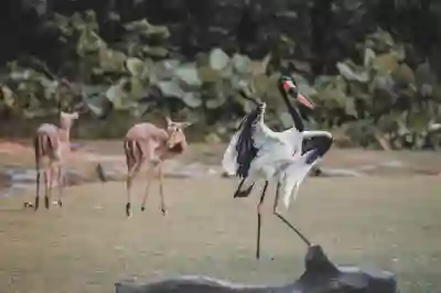 부원역 주변 회식장소 추천하는 꿀팁