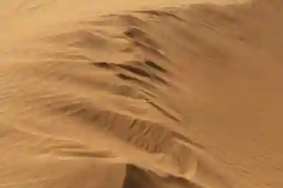 사직역 주변 회식장소 추천 5곳 살펴보자