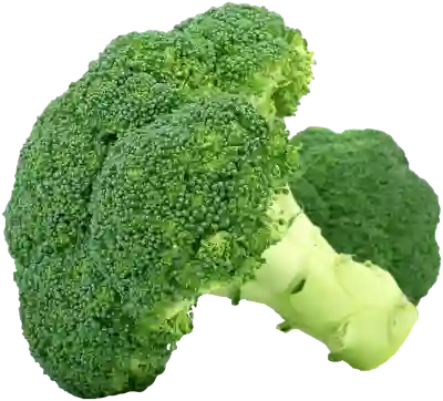 실업급여 신청 시기와 조건 완벽 정리하기