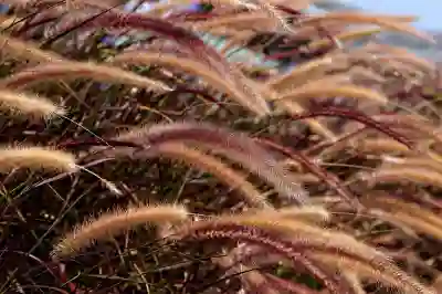 에코마일리지 서울 환급 특약 알아보자