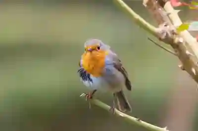 공연자 안전교육 신청과 수료증 발급 방법 알아보자