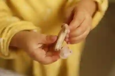 예다함 상조 해지 및 환불 방법 알아보자