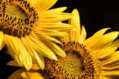 우리은행 체크카드 재발급 및 분실신고 방법 알아보자