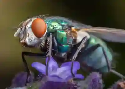 주식복리계산기 토브 사용법 살펴보자