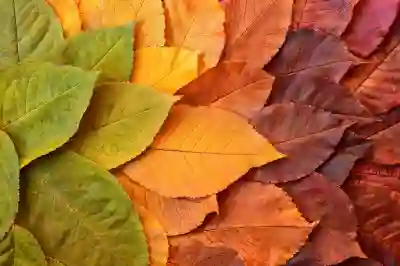 톡파원25시 재방송 무료로 다시보기하는 꿀팁