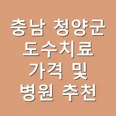 충남 청양군 도수치료 가격 및 병원 추천