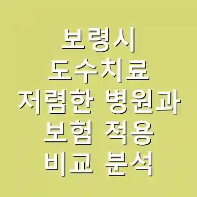 보령시 도수치료 저렴한 병원과 보험 적용 비교 분석