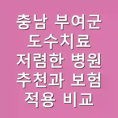 충남 부여군 도수치료 저렴한 병원 추천과 보험 적용 비교