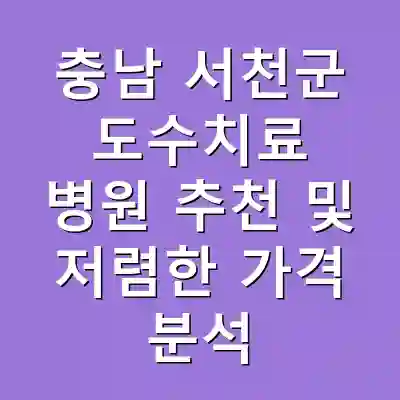 충남 서천군 도수치료 병원 추천 및 저렴한 가격 분석