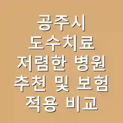 공주시 도수치료 저렴한 병원 추천 및 보험 적용 비교