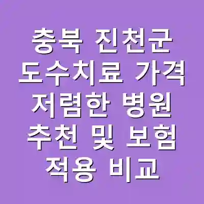 충북 진천군 도수치료 가격 저렴한 병원 추천 및 보험 적용 비교