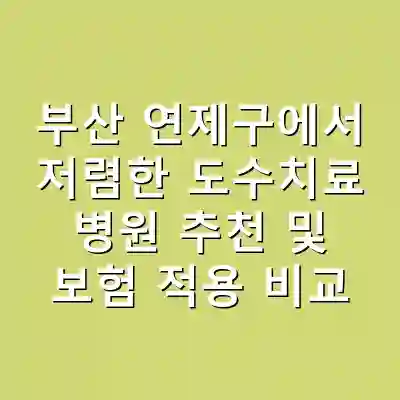 부산 연제구에서 저렴한 도수치료 병원 추천 및 보험 적용 비교